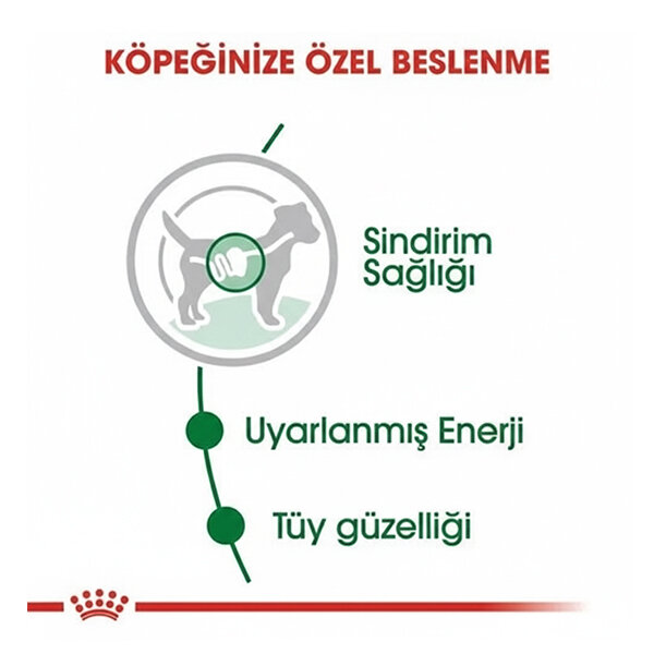 Royal Canin Mini Adult Köpek Yaş Maması 85 gr x 12 Adet - 4