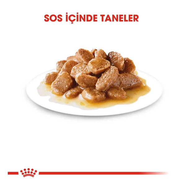 Royal Canin Mini Adult Köpek Yaş Maması 85 gr x 12 Adet - 2