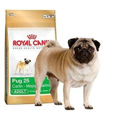 Royal Canin Pug Köpek Maması 1.5 KG - 2