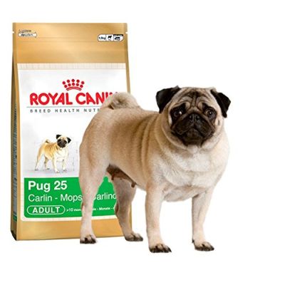Royal Canin Pug Köpek Maması 1.5 KG - 2