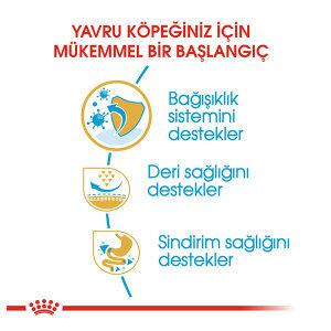 Royal Canin Pug Yavru  Köpek Maması 1.5 KG - 4