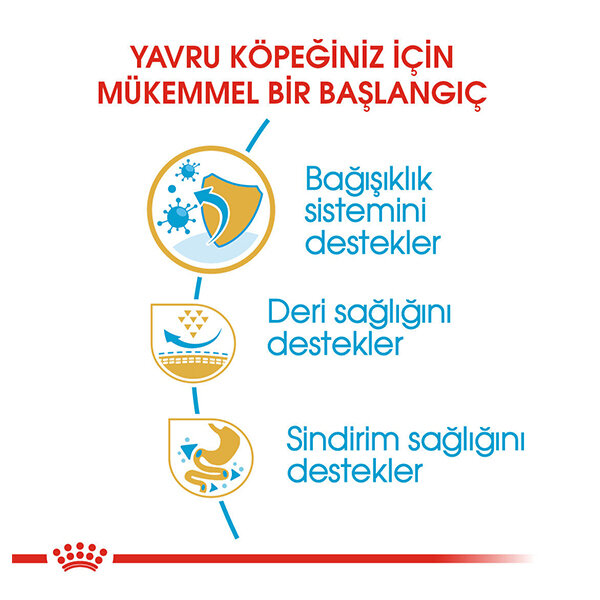 Royal Canin Pug Yavru  Köpek Maması 1.5 KG - 4