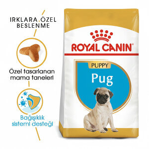Royal Canin Pug Yavru  Köpek Maması 1.5 KG