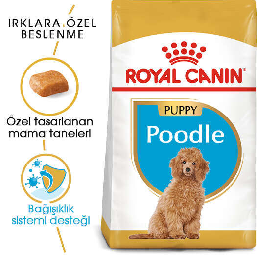 Royal Canin Puppy Poodle Caniche Yavru Köpek Maması 3 Kg - 1