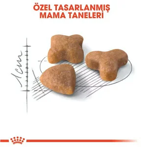 Royal Canin Sensible 33 Hassas Sindirim Sistemli Kediler İçin Yetişkin Kedi Maması 10 kg - 3