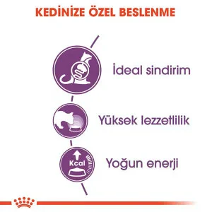 Royal Canin Sensible 33 Hassas Sindirim Sistemli Kediler İçin Yetişkin Kedi Maması 10 kg - 5