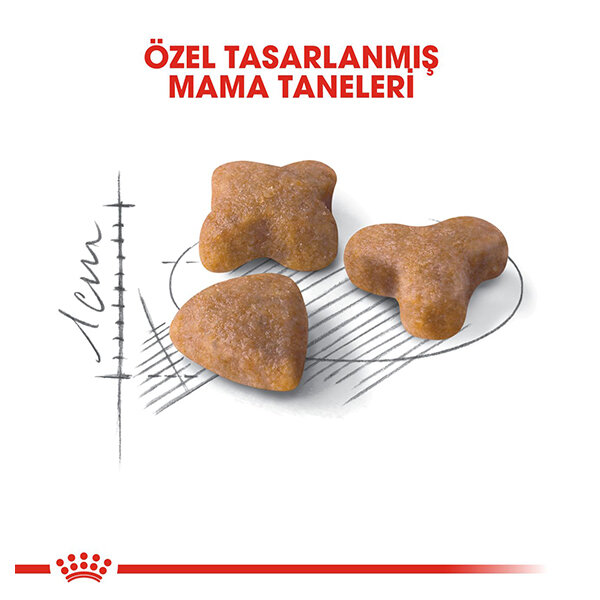 Royal Canin Sensible 33 Hassas Sindirim Sistemli Kediler İçin Yetişkin Kedi Maması 10 kg - 2