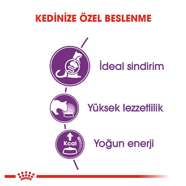 Royal Canin Sensible 33 Hassas Sindirim Sistemli Kediler İçin Yetişkin Kedi Maması 15 KG - 3