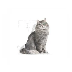 Royal Canin Sensible 33 Hassas Sindirim Sistemli Kediler İçin Yetişkin Kedi Maması 4 KG - 2