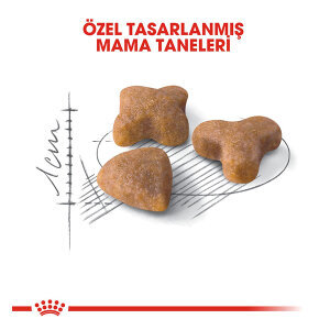 Royal Canin Sensible 33 Hassas Sindirim Sistemli Kediler İçin Yetişkin Kedi Maması 4 KG - 2