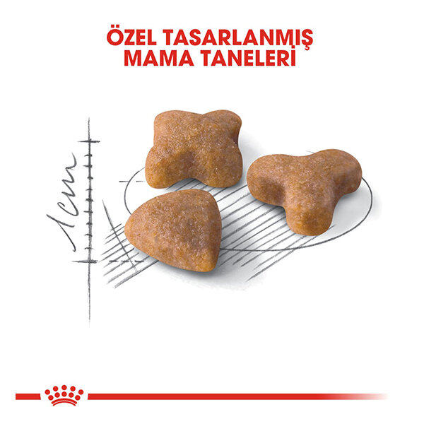 Royal Canin Sensible 33 Hassas Sindirim Sistemli Kediler İçin Yetişkin Kedi Maması 2 KG - 2