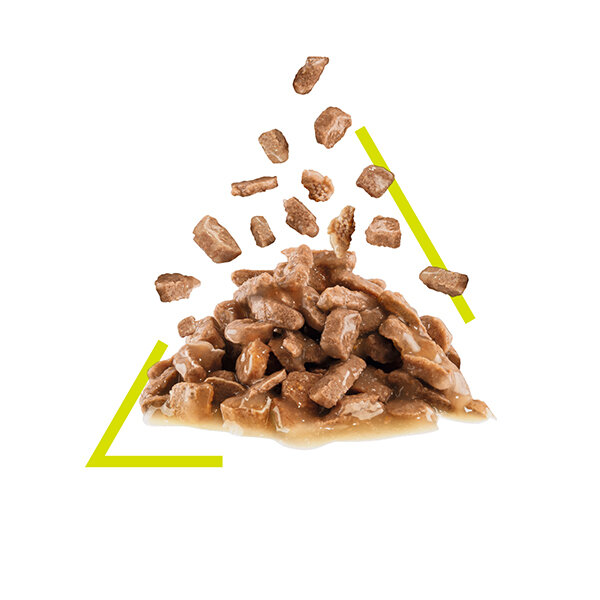 Royal Canin Sensory Smell Kedi Yaş Maması 85 gr x 12 Adet - 2