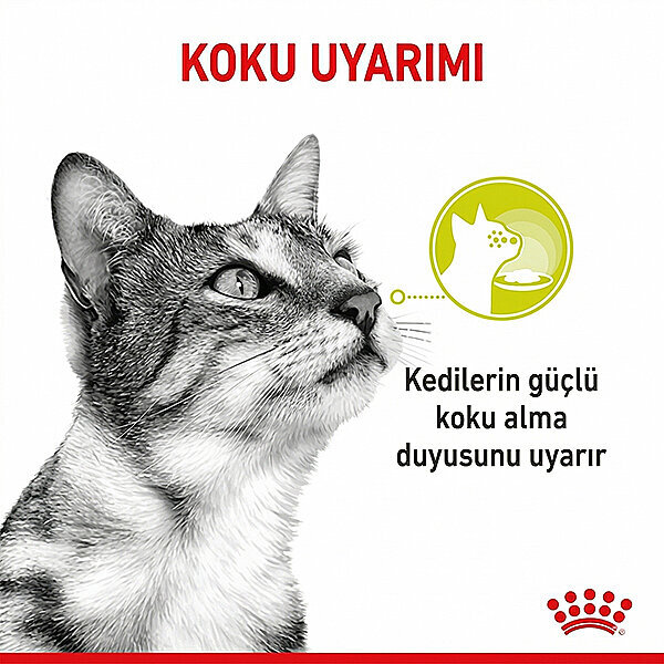 Royal Canin Sensory Smell Kedi Yaş Maması 85 gr x 12 Adet - 3