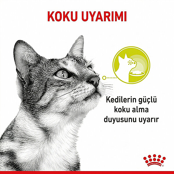 Royal Canin Sensory Smell Kedi Yaş Maması 85 gr x 12 Adet - 3