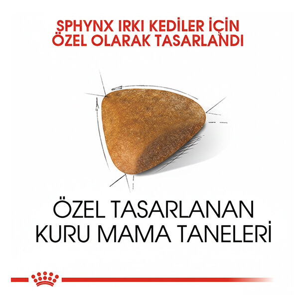 Royal Canin Sfenks için Yetişkin Kuru Kedi Maması 2kg - 3
