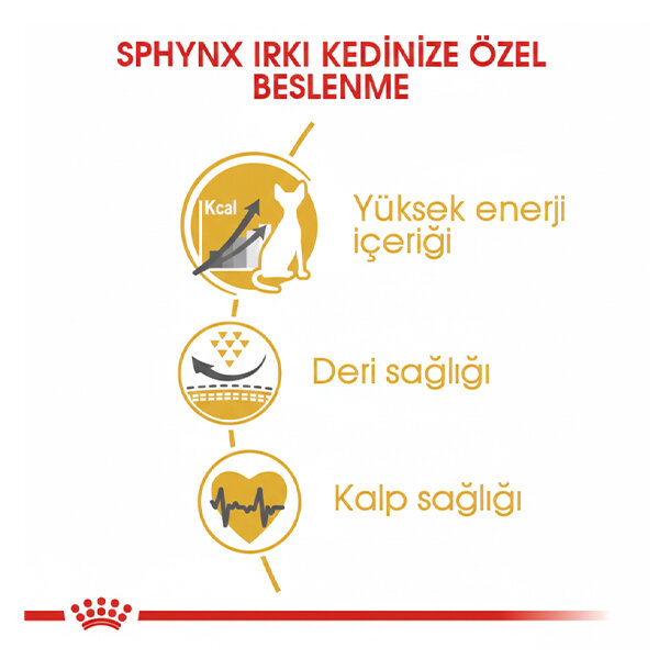 Royal Canin Sfenks için Yetişkin Kuru Kedi Maması 2kg - 4