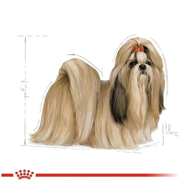 Royal Canin Shih Tzu Köpek Maması 1.5 KG - 5