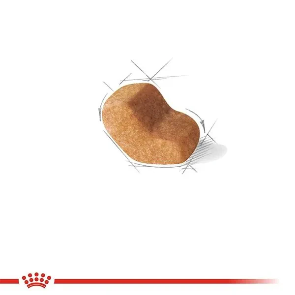 Royal Canin Shih Tzu Köpek Maması 1.5 KG - 3