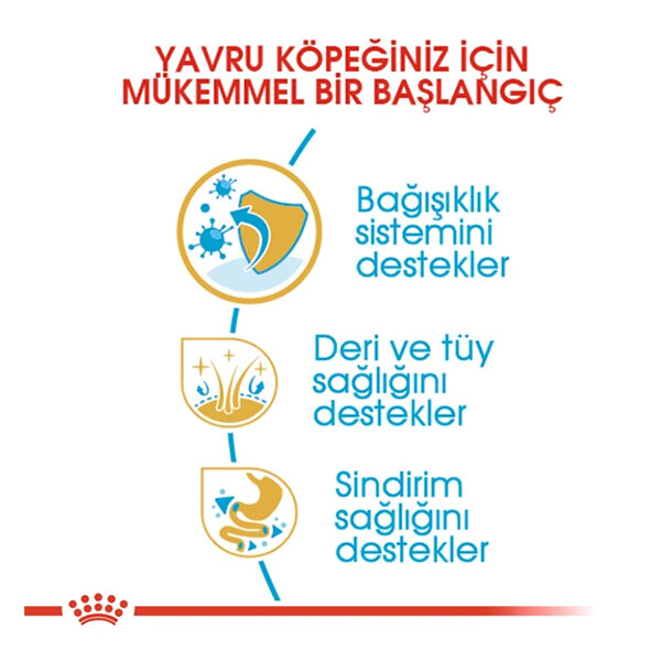 Royal Canin Shih Tzu Yavru Köpek Maması 1.5 kg - 3