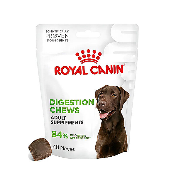 Royal Canin Sindirim Sistemini Destekleyen Tamamlayıcı Yetişkin Köpek Ödül Maması 160gr - 1
