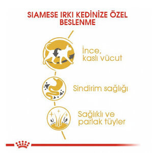 Royal Canin Siyam Kedi Maması 2 KG - 3