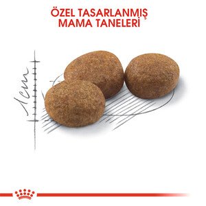 Royal Canin Sterilised Kısırlaştırılmış Kedi Maması 2 KG - 2