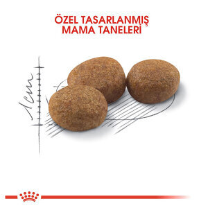 Royal Canin Sterilised Kısırlaştırılmış Kedi Maması 2 KG - 2