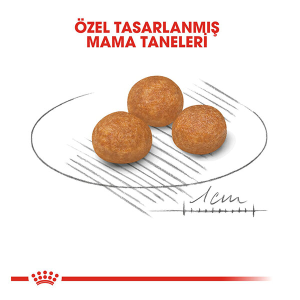 Royal Canin X-Small Küçük Irk Köpek Maması 1.5 kg - 2