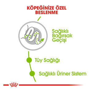 Royal Canin X-Small Küçük Irk Köpek Maması 3 Kg - 3