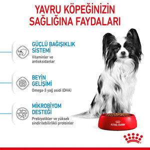 Royal Canin X-Small Puppy Küçük Irk Yavru Köpek Maması 1.5 kg - 6