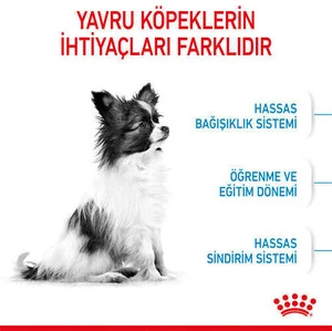Royal Canin X-Small Puppy Küçük Irk Yavru Köpek Maması 3 Kg - 4