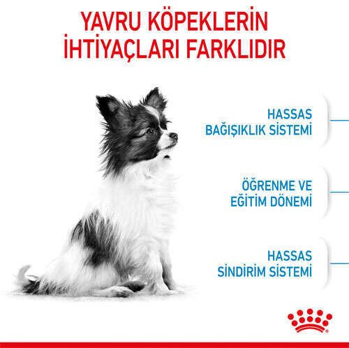 Royal Canin X-Small Puppy Küçük Irk Yavru Köpek Maması 3 Kg - 4