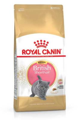 Royal Canin British Shorthair Yavru Kedi Maması 2 KG - 1