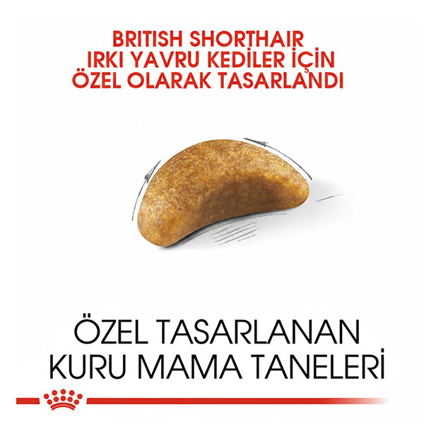 Royal Canin British Shorthair Yavru Kedi Maması 2 KG - 2