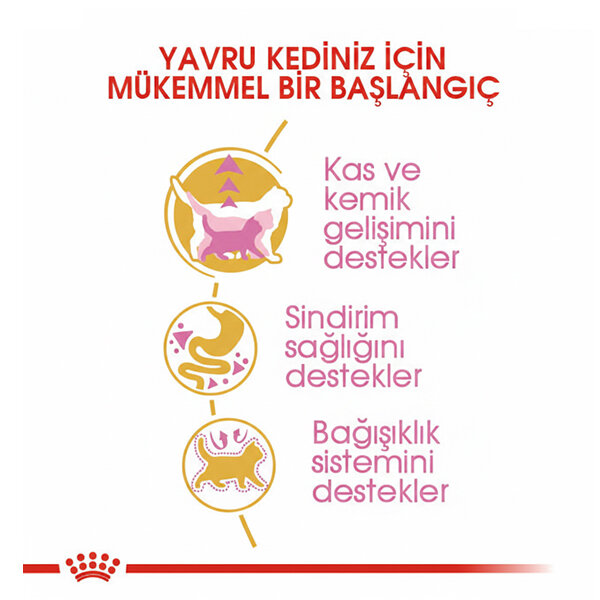 Royal Canin British Shorthair Yavru Kedi Maması 2 KG - 3