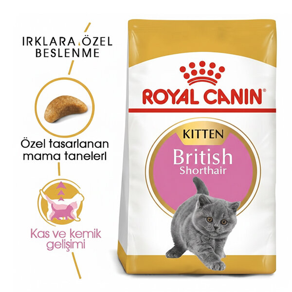 Royal Canin British Shorthair Yavru Kedi Maması 2 KG - 1