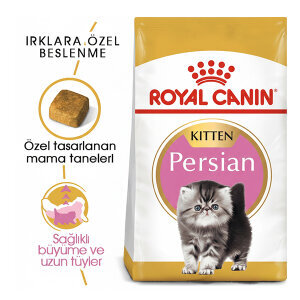 Royal Canin Kitten Persian Yavru Kedi Maması 2 KG