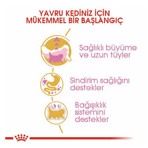 Royal Canin Kitten Persian Yavru Kedi Maması 2 KG - 3