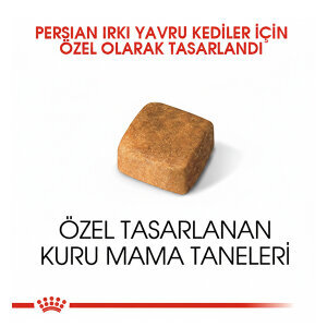 Royal Canin Kitten Persian Yavru Kedi Maması 2 KG - 2