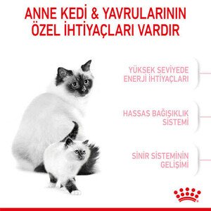 Royal Canin Babycat Yavru Kedi Maması 2 KG - 5