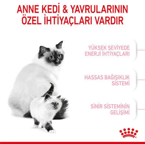Royal Canin Babycat Yavru Kedi Maması 2 KG - 5