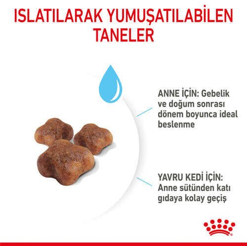 Royal Canin Babycat Yavru Kedi Maması 2 KG - 3