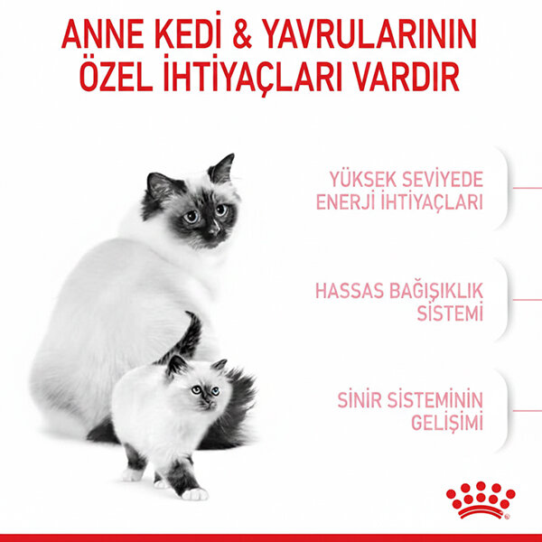Royal Canin Babycat Yavru Kedi Maması 2 KG - 5