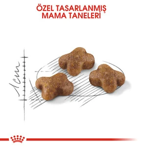 Royal Canin Kitten Yavru Kedi Maması 10 KG - 4