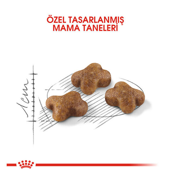 Royal Canin Kitten Yavru Kedi Maması 10 KG - 3