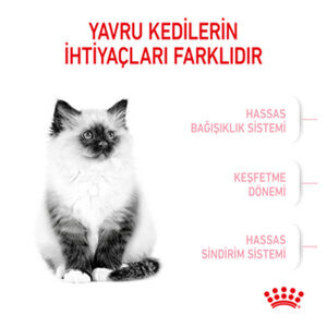 Royal Canin Kitten Yavru Kedi Maması 10 KG - 6