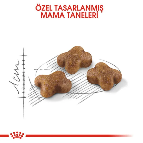 Royal Canin Kitten Yavru Kedi Maması 4 KG - 2