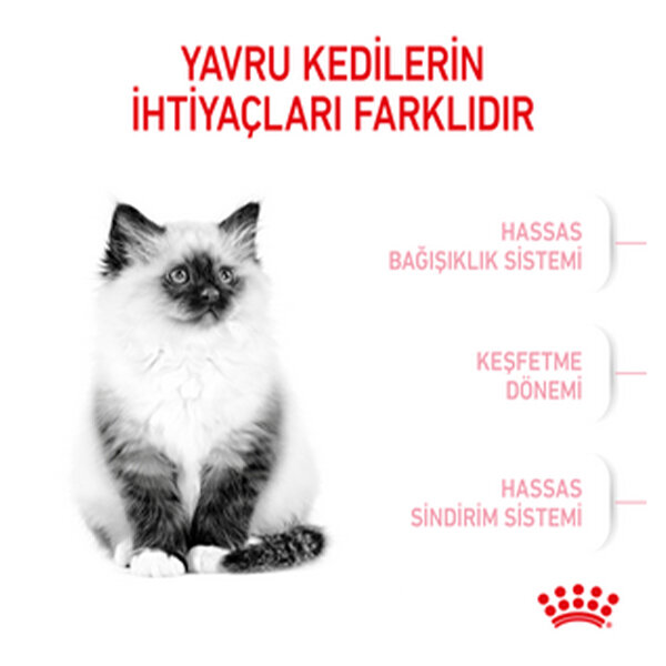 Royal Canin Kitten Yavru Kedi Maması 4 KG - 5