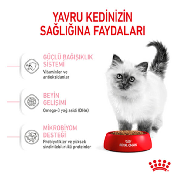 Royal Canin Kitten Yavru Kedi Maması 4 KG - 6