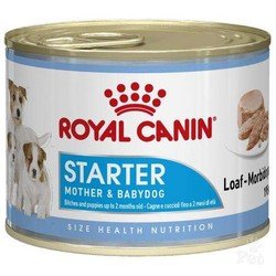 Royal Canin Starter Mousse Yavru Köpek Konservesi 195 GR